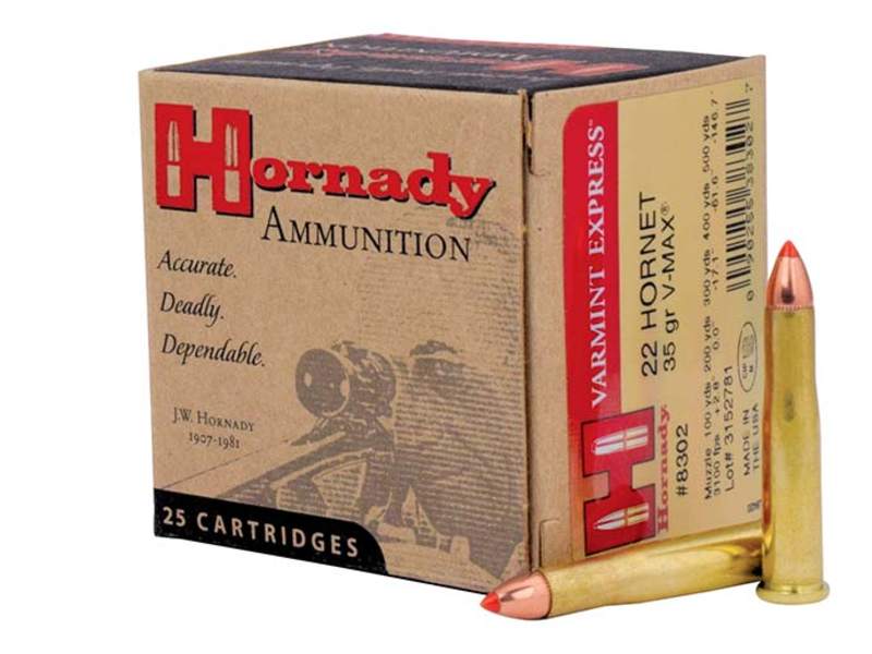 .22 Hornet: To Bee Or Not To Bee