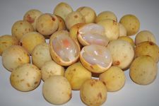 If You Have Diabetes Do This Immediately (Watch)