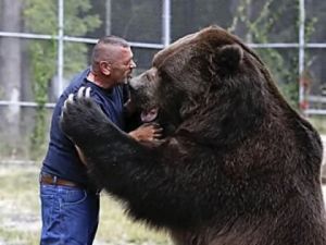 Mama Bears Amazing Reaction to Man Saving Her Cubs