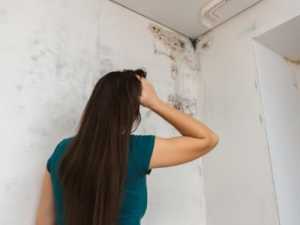 The Easiest Ways To Get Rid Of House Mold - This May Surprise You!