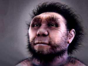 20 Surprising Facts About Human Evolution