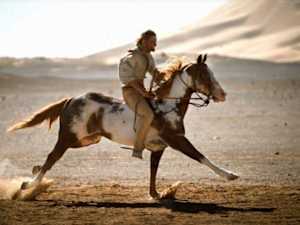 35 Famous Horses Who Are Loved by Millions