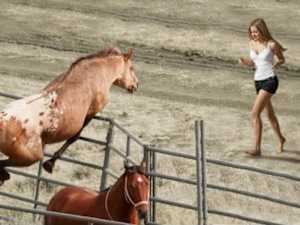Photos Proving You Can't Fix Stupid