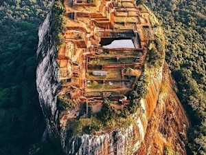 Rare Historical Discoveries from the Depths of Wild