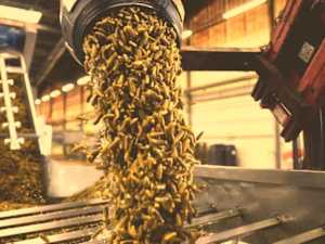 Never Put This in the Fridge