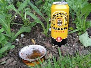 25 Weird Gardening Tips That Sound Wacky but Really Work