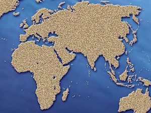 We Will Guess Your Education Level Based on How You Answer These 20 Questions