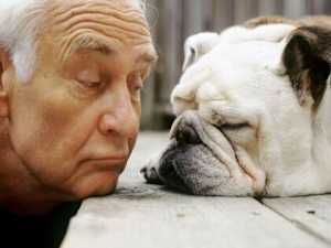 [Gallery] These Loyal Dog Breeds Are Perfect for Lazy People