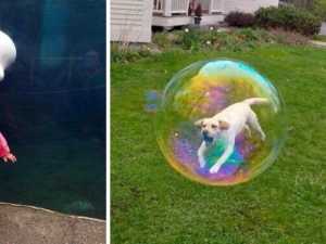 20+ Perfectly Timed Photos That Will Make You Look Twice