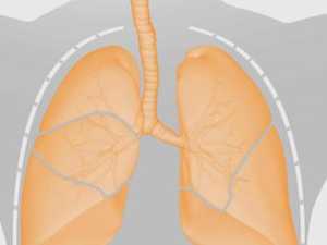 How Immunotherapy Can Treat Lung Cancer