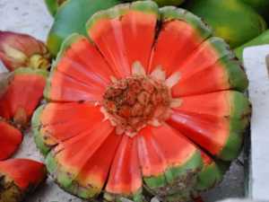 Doctors Stunned: This Simple Trick Melts Your Body Fat Like Crazy! (Watch)