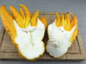 Do This Tonight Before Bed and Watch Your Belly Fat Melt Like Crazy