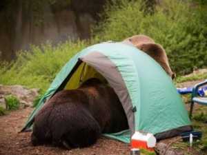 Camping Fails That Will Make You Want to Stay Home