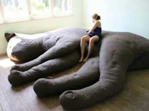 25 Creative & Weird Furniture Fails