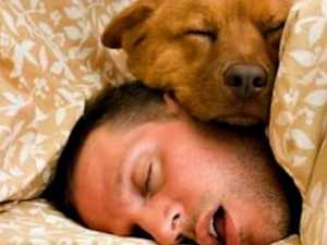 Dog Trainers Reveal the Most Loyal Breeds You Can Own