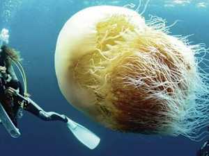 Photographic Proof That the Ocean is Terrifying