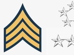 Most Adults Can't Pass This Military Rank Quiz