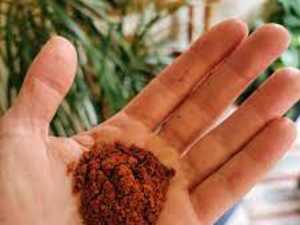 Blood Sugar Above 100? Try This Tonight