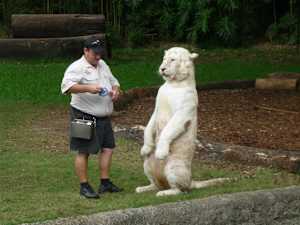 20 Hilarious Photos of Adorable Ferocious Beasts