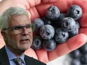 U.S. Cardiologist Warns Aging Seniors About Blueberries for Breakfast