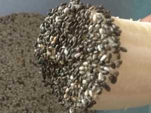 This Simple Trick Kills All Parasites in the Body!