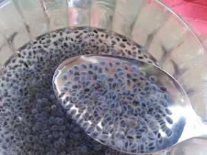 This Simple Trick Kills All Parasites in The Body!