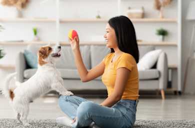 The Secret to a Well-behaved Pet? Try This Now!