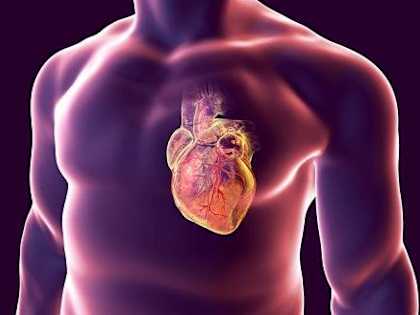 How to Prevent a Heart Attack (Do This 3 Times a Day)!