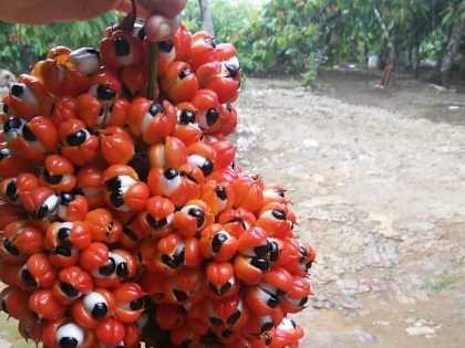 Everyone Who Believes in God Should Watch This. It Will Blow Your Mind