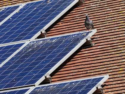 Affordable Solar Panels (See Prices by Clicking Here)