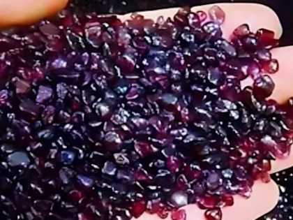 Top Doctor: Best Food To Kill Farts