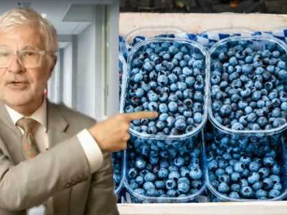 Heart Surgeon Begs Americans: "Stop Doing This To Your Fruit"