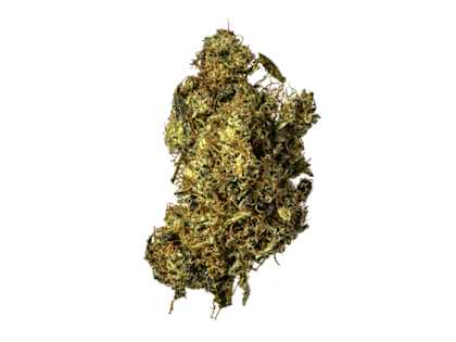 This Isn't Your Grandpa's Thc - It's Way Stronger! 