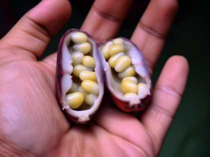 Diabetes is Not from Sweets! Meet the Main Enemy of Diabetes