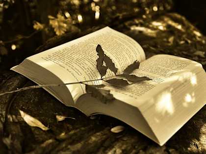 Find Useful Knowledge