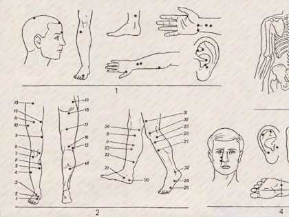 Renew Your Health With Acupuncture Therapy