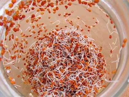 5 Parasite Causing Foods You Should Stop Eating Right Now