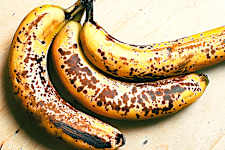 15 Breakfast Foods You Should Never Eat