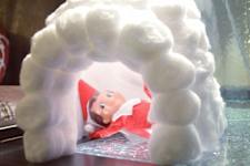 20+ Hilarious Elf on the Shelf Photos