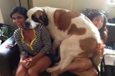 'Do Not Tell Me I'm Too Big to Do This!'