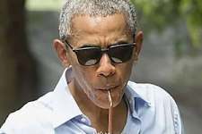 Us Presidents Highest Ranked Iq. Guess Who`s No 1