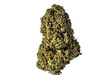 This Isn't Your Grandpa's Thc - It's Way Stronger! 