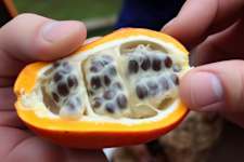 Diabetes is Not from Sweets! Meet the Main Enemy of Diabetes