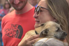 Heartwarming Reaction From a Couple Meeting Their Rescue Dog for the First Time