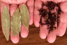 This Method Will Rid Your Body of Parasites Forever!