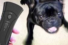 How to Stop Your Dog From Barking in Seconds