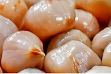 5 Foods That Secretly Make You Gain Weight — Stop Eating Them!