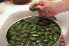 This Food Might Remove Parasites From Your Body