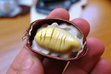 Endocrinologists: If You Have Diabetes, Read This Before It's Removed!