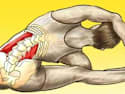 This Joint Pain Method Leaves Doctors Speechless - Watch